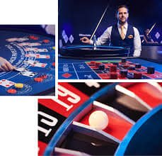 Riwayat taruhan sensational77 dengan hasil dan status cash-out